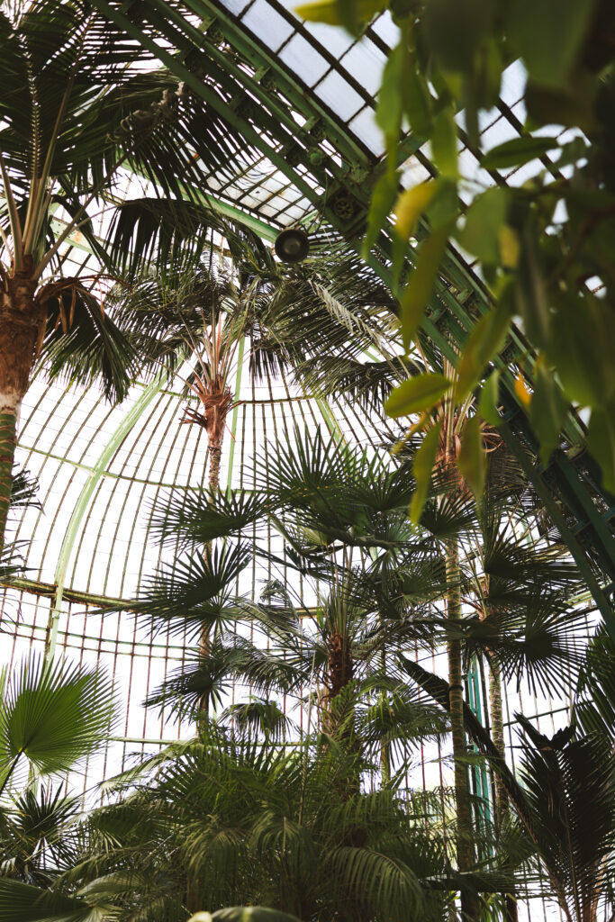serres royales laeken